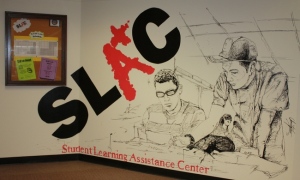 SLAC is a great place to get help on subjects that are giving you trouble.